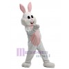 Lapin costume de mascotte