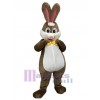 Lapin costume de mascotte