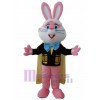 Lapin costume de mascotte