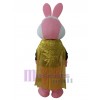 Lapin costume de mascotte