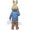 Lapin costume de mascotte