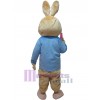 Lapin costume de mascotte