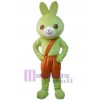 Lapin costume de mascotte