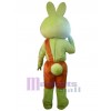 Lapin costume de mascotte