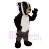 Blaireau costume de mascotte