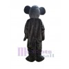 Rat Souris costume de mascotte