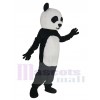 Panda costume de mascotte