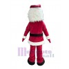 Homme costume de mascotte