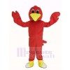 rouge Roadrunner Oiseau Mascotte Costume Animal