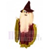 Sorcier Merlin costume de mascotte