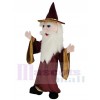 Sorcier Merlin costume de mascotte
