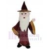 Sorcier Merlin costume de mascotte