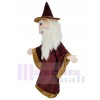 Sorcier Merlin costume de mascotte