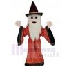 Merlin Wizard Mascotte Costume Dessin animé