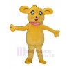 Ours costume de mascotte