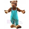 Ours costume de mascotte
