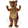 Ours costume de mascotte