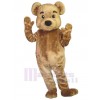 Ours costume de mascotte