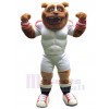 Ours costume de mascotte