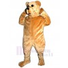 Ours costume de mascotte