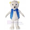 Ours costume de mascotte