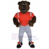 Ours costume de mascotte