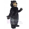 Ours costume de mascotte