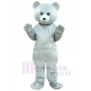 Ours costume de mascotte