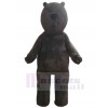 Ours costume de mascotte