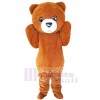 Ours costume de mascotte