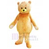 Ours costume de mascotte