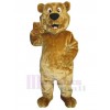 Ours costume de mascotte