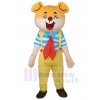 Ours costume de mascotte