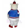 Ours costume de mascotte