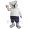 Ours costume de mascotte