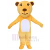 Ours costume de mascotte