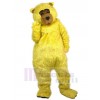 Ours costume de mascotte
