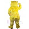Ours costume de mascotte