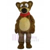 Ours costume de mascotte