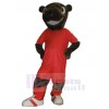 Ours costume de mascotte