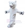 Ours costume de mascotte