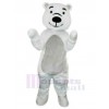 Ours costume de mascotte