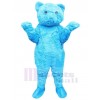 Ours costume de mascotte