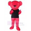 Ours costume de mascotte