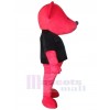 Ours costume de mascotte