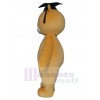 Ours costume de mascotte
