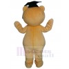 Ours costume de mascotte