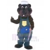 Ours costume de mascotte