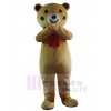 Ours costume de mascotte