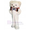 Ours costume de mascotte
